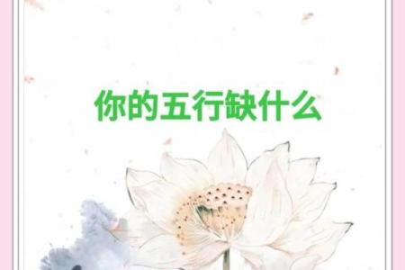 五行格局与性格解析：走出误区，塑造全新人生格局