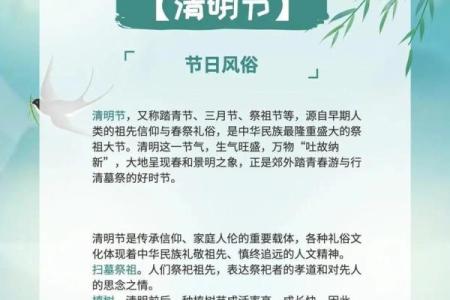 传统文化：的节日背后隐藏的民俗故事
