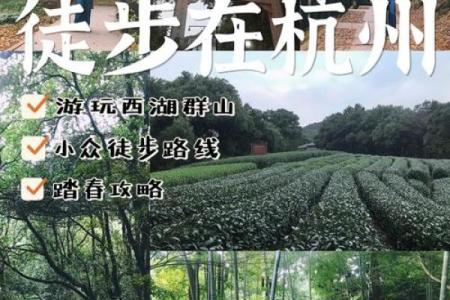 ~踏春养生~如何在这一天进行身心调养