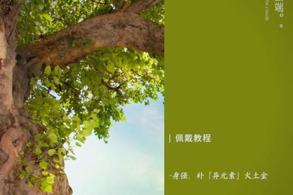性格重塑的秘密武器：五行格局调整的实用指南