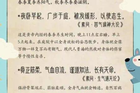 的养生智慧，如何调整身体迎接夏季