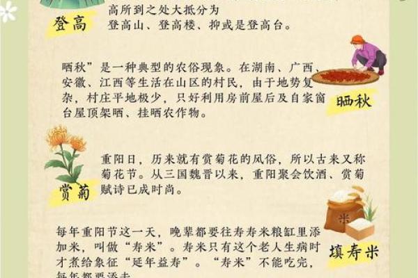 的文化底蕴：探秘传统节日的养生智慧