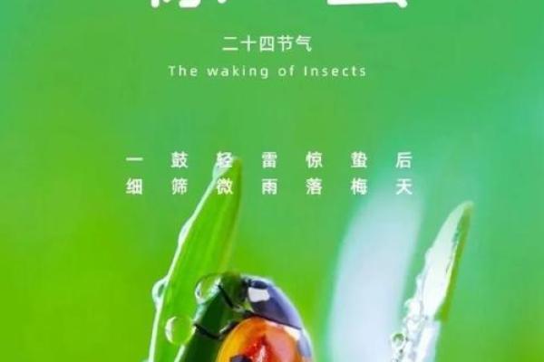 传统节日的天文意义与节令安排
