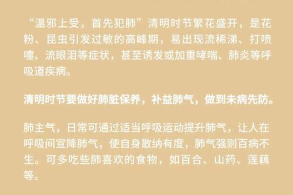 藏传节日中的美食与养生：传统食材与健康之道