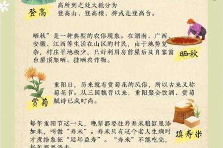 的文化底蕴：探秘传统节日的养生智慧