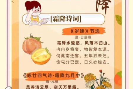 传统节日里的广西养生文化与习俗探索