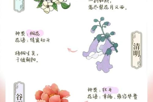 春节的农耕与天文联系：如何根据节气规划一年四季的生活