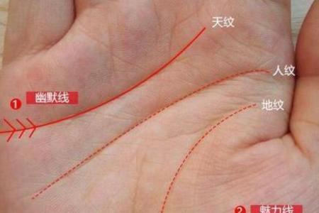 沈阳命理解析：命运暗藏玄机，你是否还未察觉？