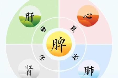 传统节日与节令养生：古人如何顺应自然规律