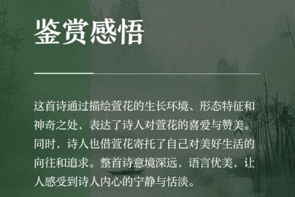 萱花绽放：颠覆传统，五行格局下的性格新解