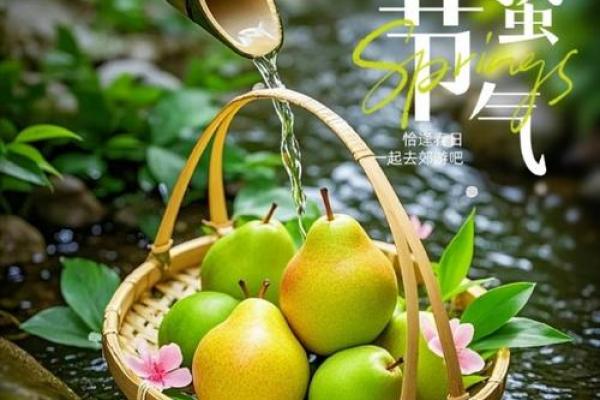 朝鲜族秋夕：天文与农耕交织的节令盛典
