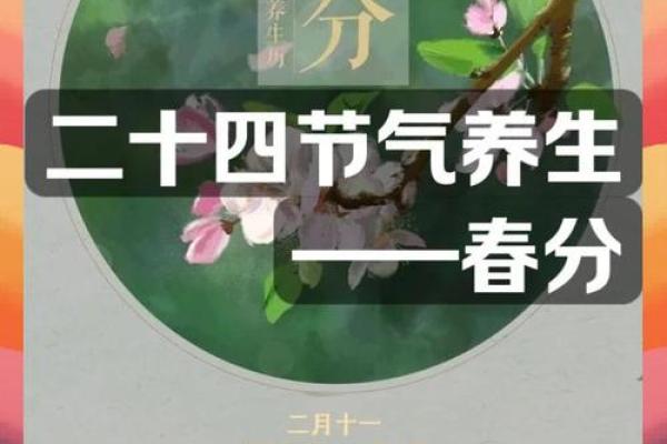 春分节气，万物复苏时的养生秘诀
