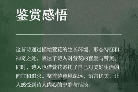 萱花绽放：颠覆传统，五行格局下的性格新解