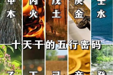性格解析新视角：金字旁揭示你的五行格局秘密