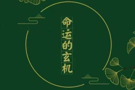 丙火命理女的命运玄机：你忽视的关键因素，反而可能改变未来的方向