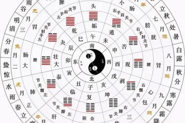传统节日背后的天文智慧：节气与星辰的奥秘