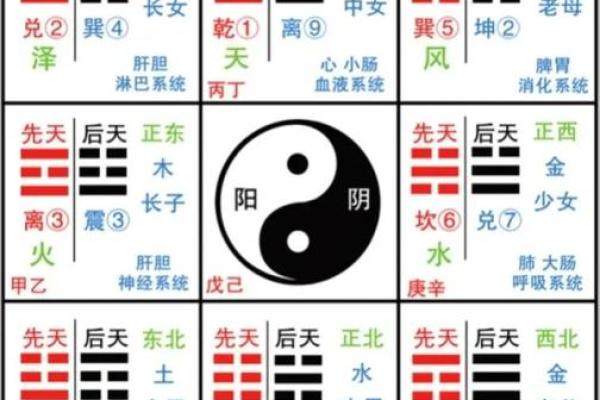 如何通过八字破解命运密码？一探命理背后的真相