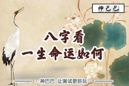 八字背后的玄机：如何精准把握命运的关键点