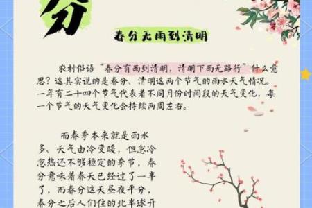 春分节气与欧洲传统节日的巧妙融合