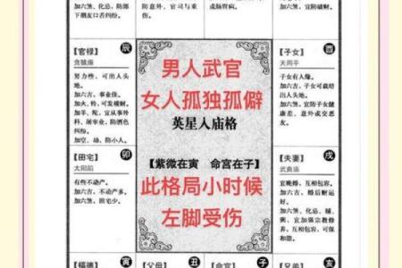 探秘胡五行的性格秘密：如何利用五行格局提升自己？