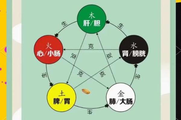 性格解析五行秘籍：揭秘你的五行运势与人生走向