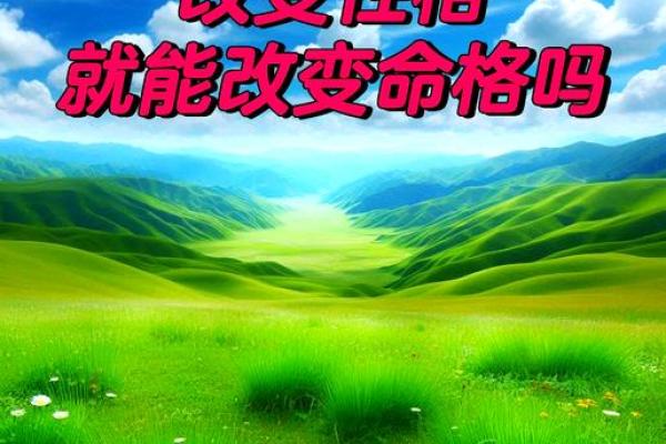 五行格局重塑：亦如何改变命运，揭秘性格转变的神秘法则？