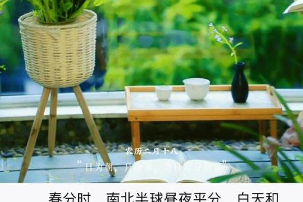 春分节气的养生法与农耕节令