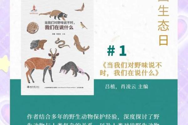 非洲节日如何与大自然和谐共生