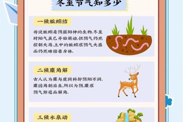 冬至：从天文现象到养生智慧的节气解读