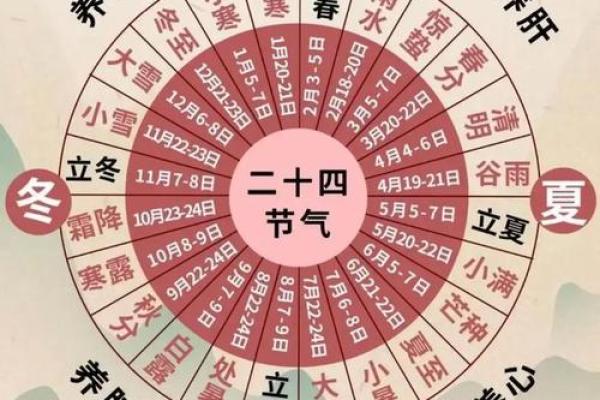 从节气到节日：全球农耕文化的变迁与传承