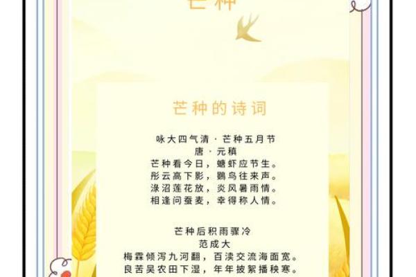 白色节日背后的天文奥秘与农耕习俗
