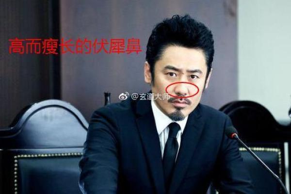 如何通过贾跃亭的命理案例改变你的命运走向