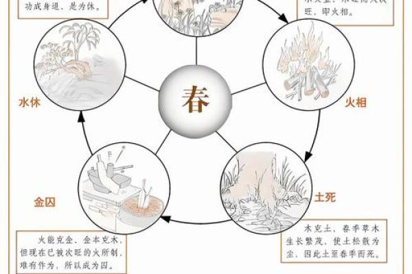 五行格局揭秘：你的性格密码如何解锁？