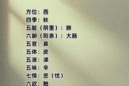 五行格局揭秘：你的性格密码如何解锁？