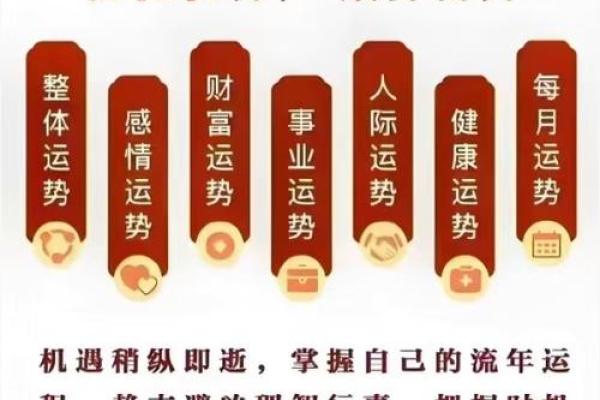 五行格局深度解析：你的性格密码，如何改变命运？