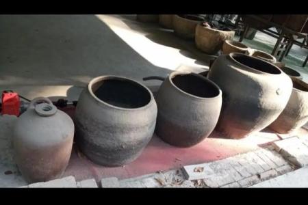 春节背后的农耕智慧：如何选择最适合的播种时机
