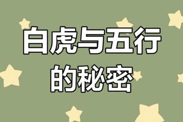 揭开白虎命理的暗藏玄机，改变命运从此开始