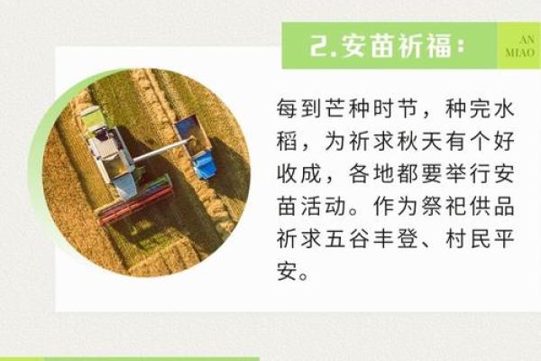 白色节日中的农耕仪式与节气文化
