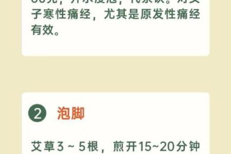 传统节日中的养生智慧与文化底蕴