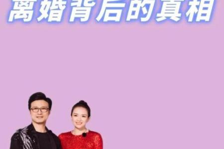 章子怡汪峰八字分析：暗藏玄机的命运真相揭示