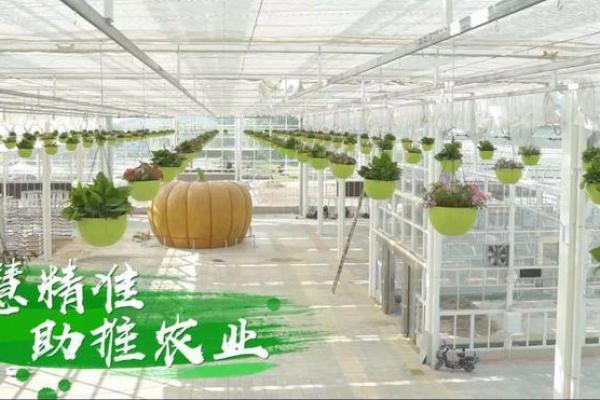 从丰收节看民族节庆背后的农业与天文奥秘