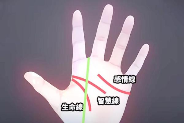 舒淇八字命理揭示命运密码，如何破解她的成功秘诀？