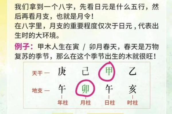 如何改变运势？妮的五行格局调整秘籍，实用指南大公开