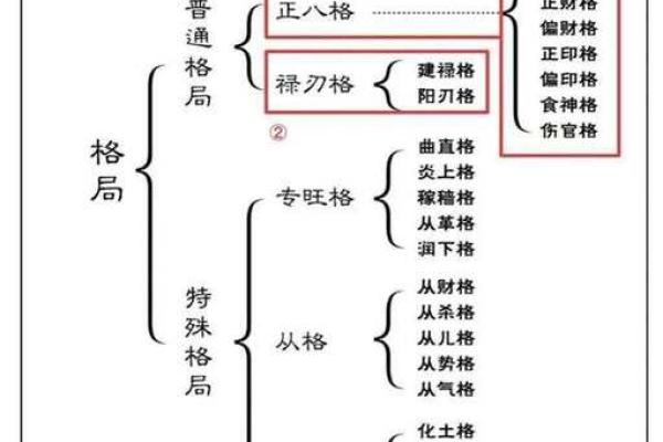 如何改变运势？妮的五行格局调整秘籍，实用指南大公开