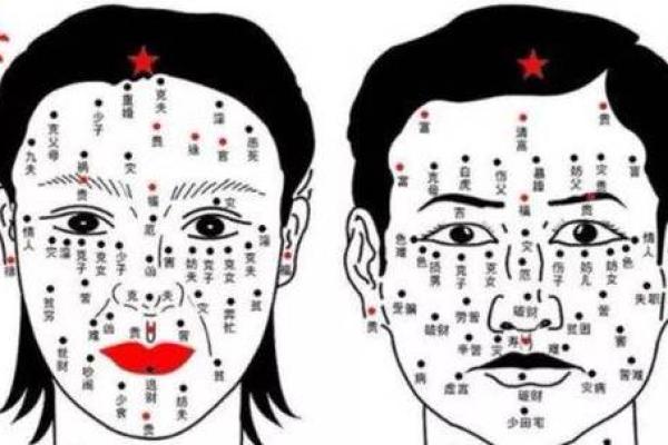 林心如面相中的命运密码：你忽略的隐藏玄机