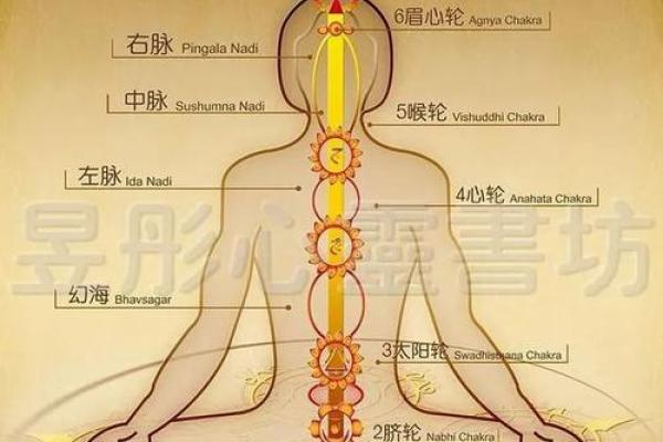 黎姿八字命理解读：命运密码暗藏玄机，如何改变人生走向