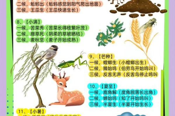 从天文到农耕，龙母节日如何揭示四季更替的奥秘