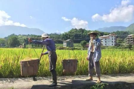 端午节法定假期几天 天文与农耕的巧妙结合