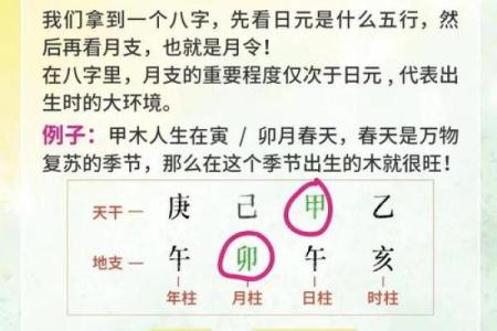 如何改变运势？妮的五行格局调整秘籍，实用指南大公开
