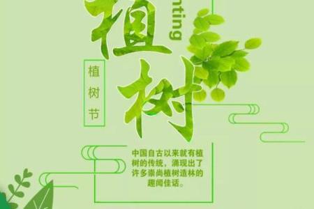 从植树节看传统节日的生态智慧